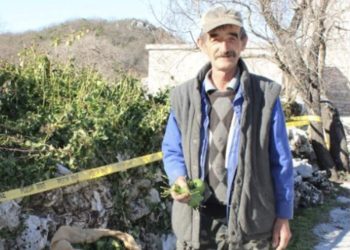 Hercegovački umirovljenik bere bršljan i dnevno zaradi i do 350 KM