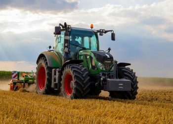 U BiH se više proizvodilo kukuruza, jabuka, grožđa…