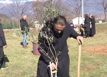 U Potocima kod Mostara posađen “Maslinik nade”