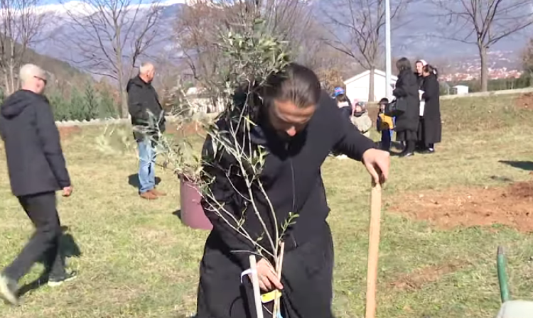U Potocima kod Mostara posađen “Maslinik nade”