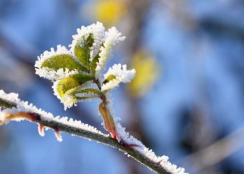 U BiH se očekuje drastično zahlađenje i mraz!?