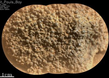 NASA-in rover otkrio neobičan kamen na Marsu, znanstvenici zbunjeni