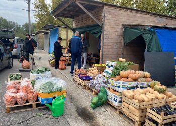 Evo kolike su cijene povrća i voća na Veletržnici u Tasovčićima