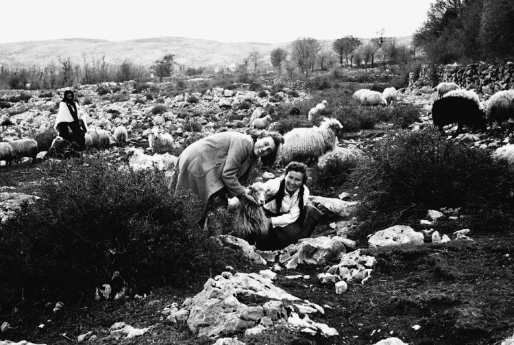 Zanimljiva fotografija i tekst iz prošlosti o uzgoju ovaca u Širokom Brijegu