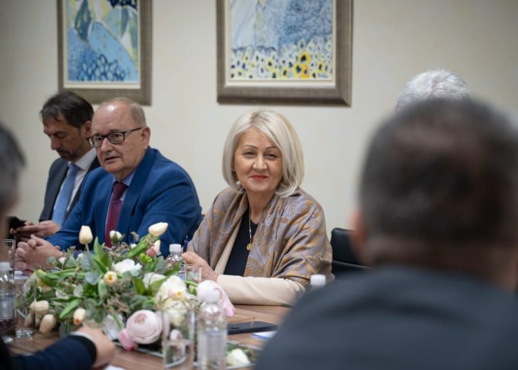 HNS: Vrijeme je za ključne reforme i zaštitu prava Hrvata u BiH