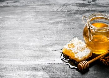 Predavanje ‘Klimatski pametno pčelarstvo’ okupilo pčelare iz Hercegovine