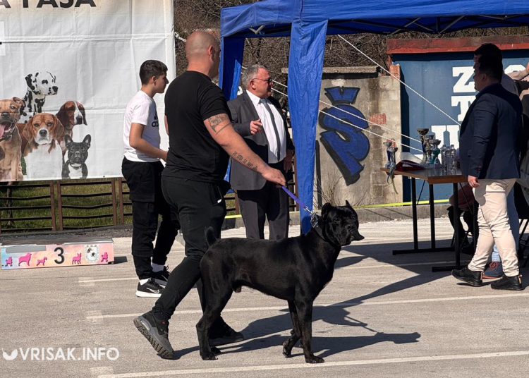 U Širokom Brijegu održana revija pasa