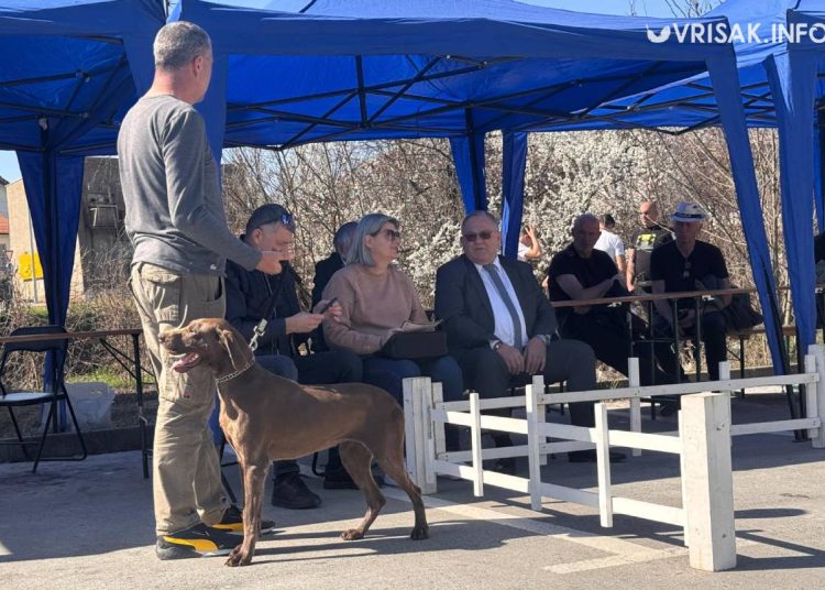 U Širokom Brijegu održana revija pasa