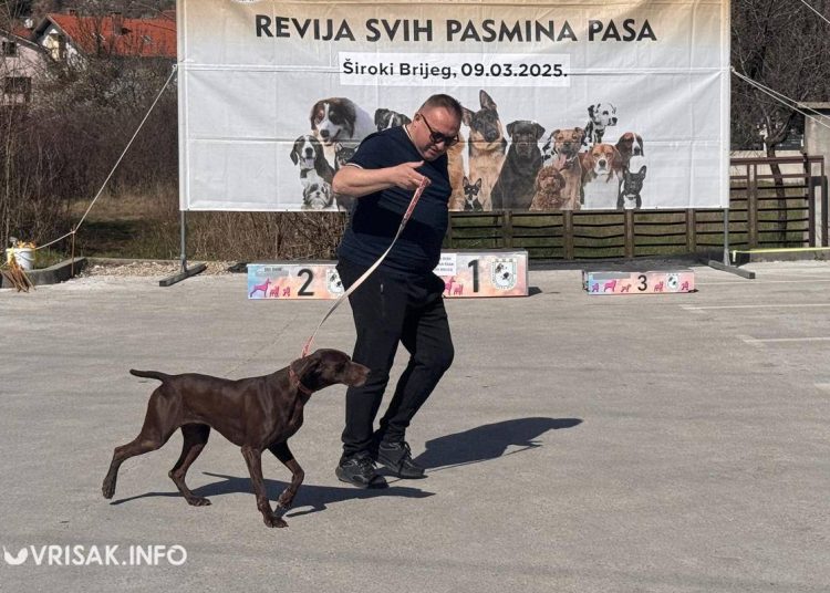 U Širokom Brijegu održana revija pasa