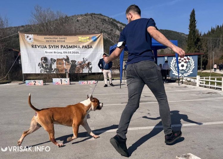 U Širokom Brijegu održana revija pasa
