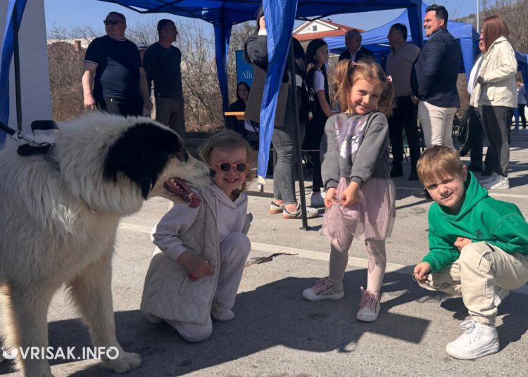 U Širokom Brijegu održana revija pasa