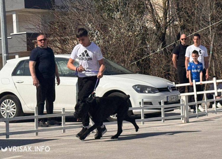 U Širokom Brijegu održana revija pasa