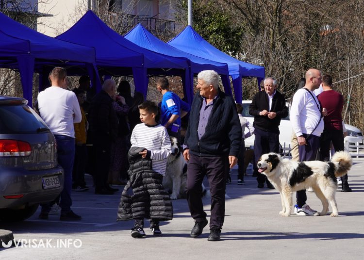 U Širokom Brijegu održana revija pasa