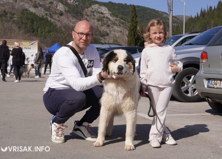 U Širokom Brijegu održana revija pasa