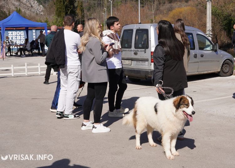 U Širokom Brijegu održana revija pasa
