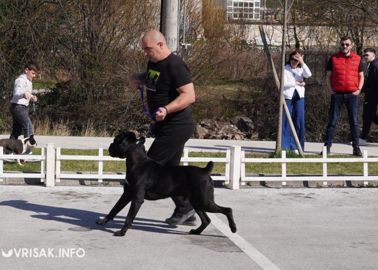 U Širokom Brijegu održana revija pasa