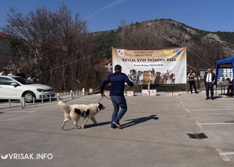 U Širokom Brijegu održana revija pasa