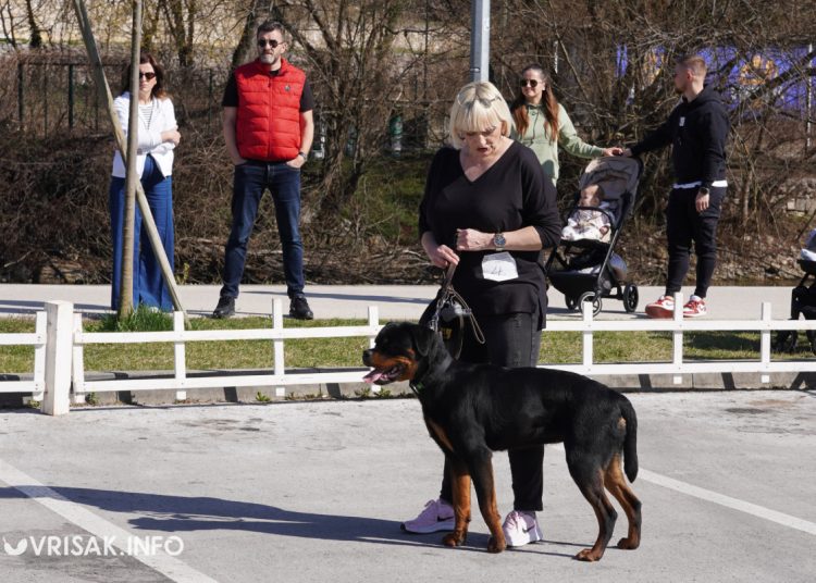 U Širokom Brijegu održana revija pasa