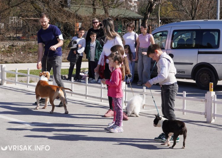 U Širokom Brijegu održana revija pasa