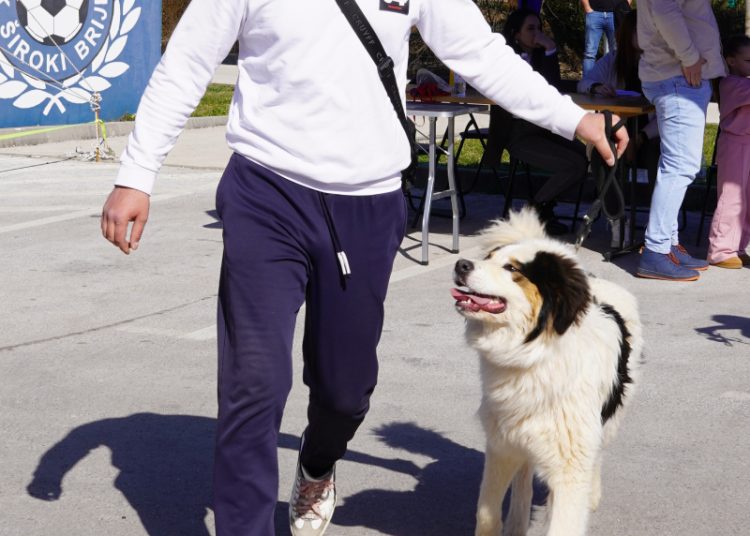 U Širokom Brijegu održana revija pasa