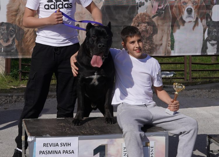 U Širokom Brijegu održana revija pasa