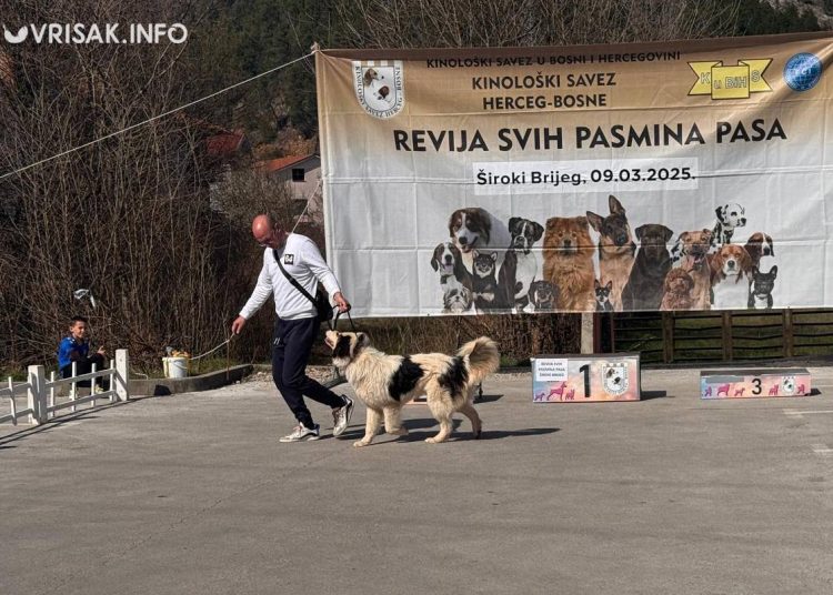 U Širokom Brijegu održana revija pasa