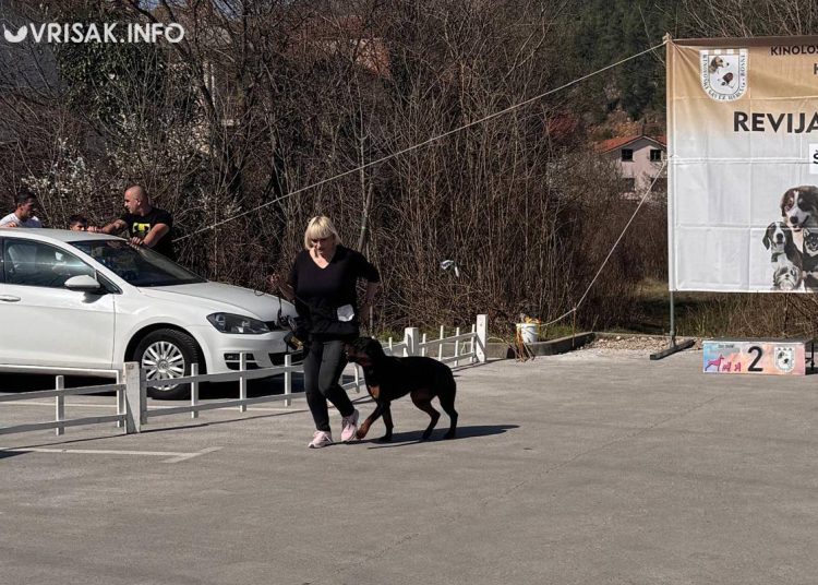 U Širokom Brijegu održana revija pasa