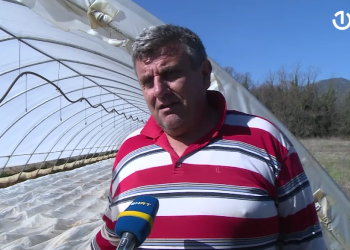 Ljubuški: Sadnja ranog krumpira pri kraju, poljoprivrednici očekuju dobar prinos