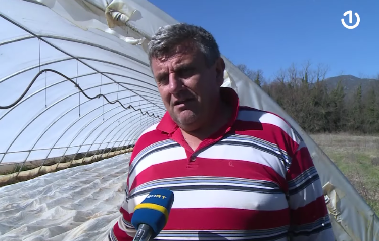 Ljubuški: Sadnja ranog krumpira pri kraju, poljoprivrednici očekuju dobar prinos