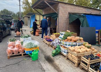 Nove cijene voća i povrća na veletržnici u Čapljini