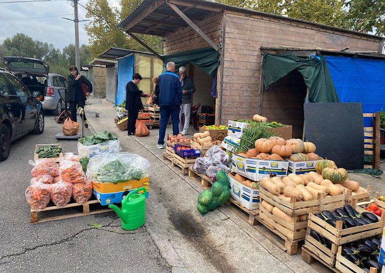 Nove cijene voća i povrća na veletržnici u Čapljini