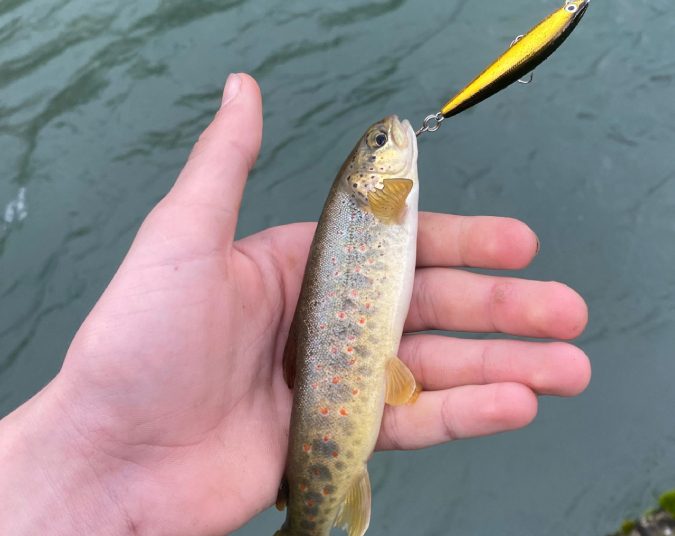 Široki Brijeg: Počela sezona ribolova na rijeci Lištici