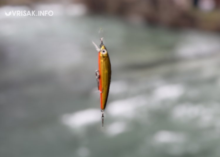 Široki Brijeg: Počela sezona ribolova na rijeci Lištici