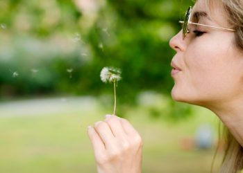Počela sezona alergija