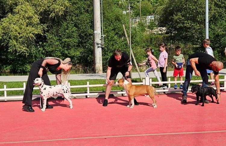 Predstavite vaše ljubimce na reviji pasa u Širokom Brijegu