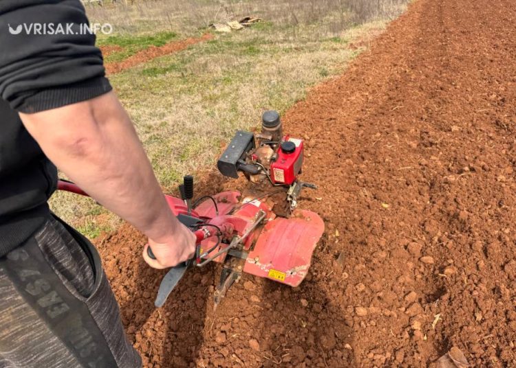 Široki Brijeg: Blaćani iskoristili fino vrijeme za sadnju krumpira