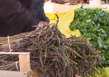 Cijena prvih kuka u Hercegovini pristupačna