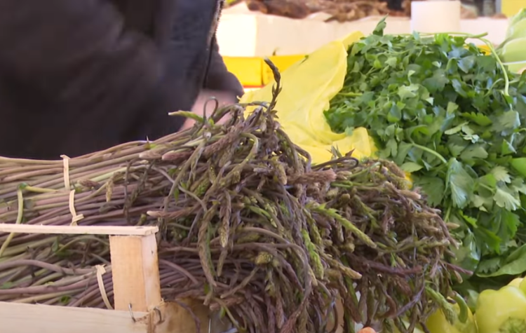 Cijena prvih kuka u Hercegovini pristupačna