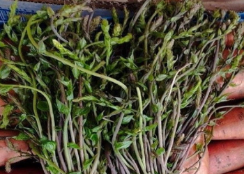 Na čapljinsku Veletržnicu stigle kuke – 5 KM vezica