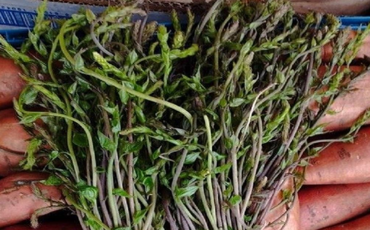 Na čapljinsku Veletržnicu stigle kuke – 5 KM vezica