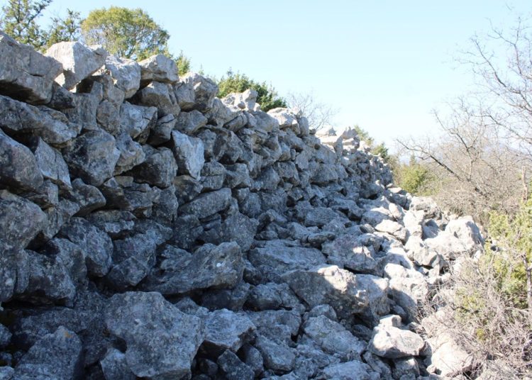 Foto: Dušan Musa/Večernji list