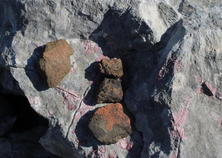 Foto: Dušan Musa/Večernji list