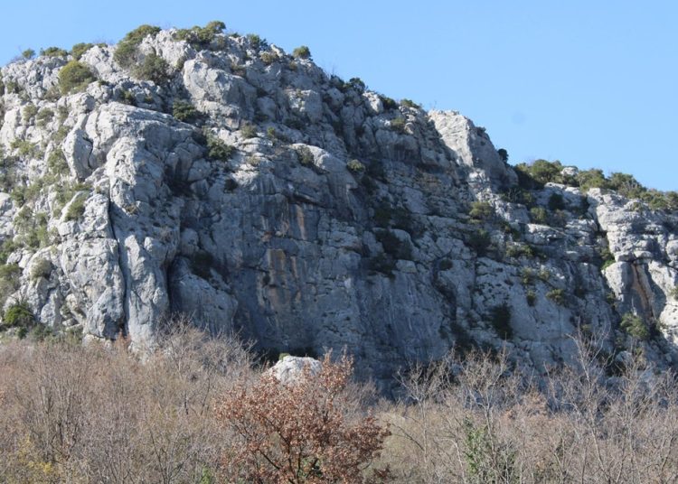 Foto: Dušan Musa/Večernji list