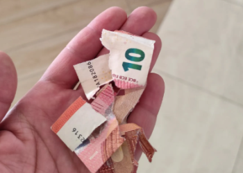 Konobar iz Crne Gore razbješnjen prizorom na poslu: “Mnogi krvavo rade za novac”