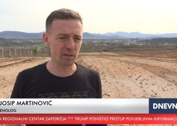 (VIDEO) Čitluk: U Gradnićima zasađeno 30 000 novih loza