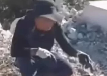 (VIDEO)  Pojavila se uznemirujuća snimka Kineza koji u Hercegovini peče psa
