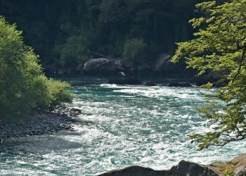 Iz Agencije za vodno područje upozoravaju dio Gruda na porast vodostaja