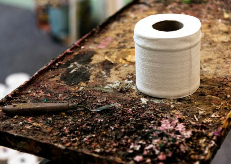 Evo kako možete iskoristiti rolu od WC papira