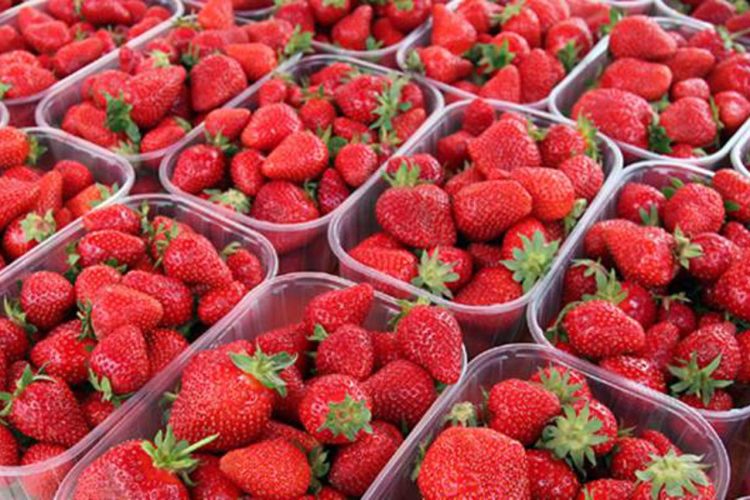 Evo kolika je cijena prvih jagoda na Veletržnici u Tasovčićima