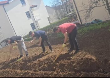 Od Oscara do motike: Slavni Širokobriježanin uzeo krumpir u svoje ruke!